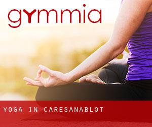 Yoga in Caresanablot