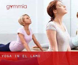 Yoga in El Álamo