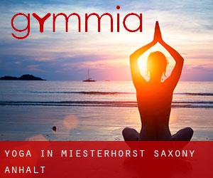 Yoga in Miesterhorst (Saxony-Anhalt)