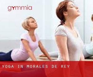 Yoga in Morales de Rey
