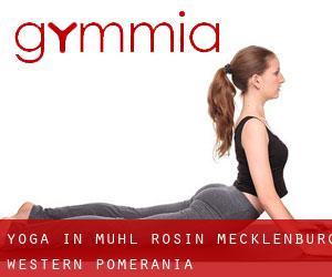 Yoga in Mühl Rosin (Mecklenburg-Western Pomerania)