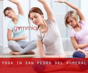 Yoga in San Pedro del Romeral