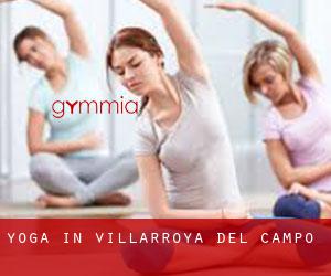 Yoga in Villarroya del Campo