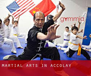 Martial Arts in Accolay