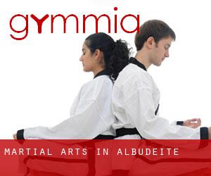 Martial Arts in Albudeite