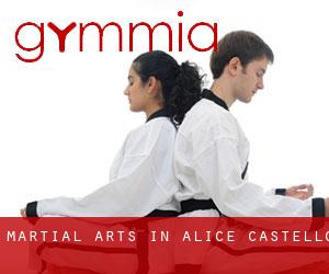Martial Arts in Alice Castello