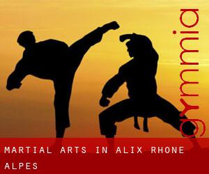 Martial Arts in Alix (Rhône-Alpes)