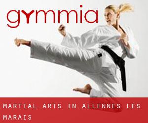 Martial Arts in Allennes-les-Marais