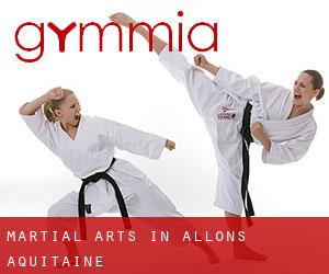 Martial Arts in Allons (Aquitaine)