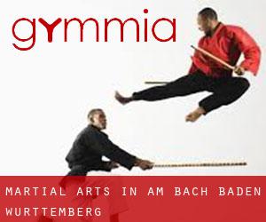 Martial Arts in Am Bach (Baden-Württemberg)