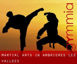 Martial Arts in Ambrières-les-Vallées