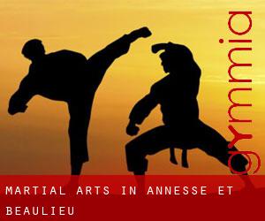 Martial Arts in Annesse-et-Beaulieu