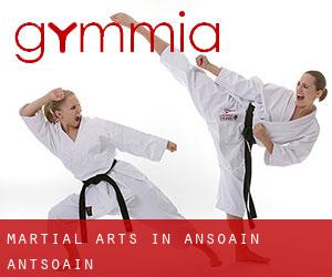 Martial Arts in Ansoáin / Antsoain