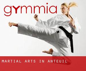 Martial Arts in Anteuil