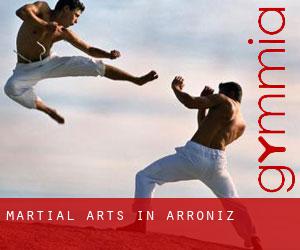 Martial Arts in Arróniz
