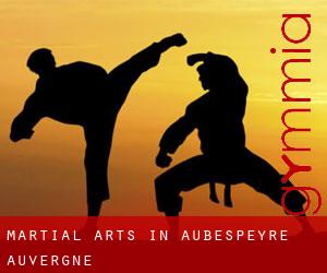 Martial Arts in Aubespeyre (Auvergne)