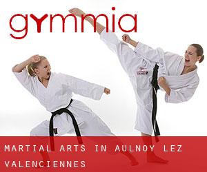 Martial Arts in Aulnoy-lez-Valenciennes