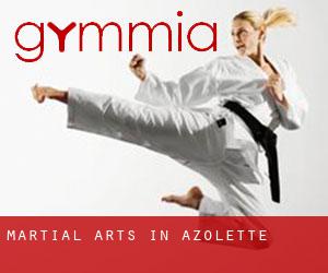 Martial Arts in Azolette