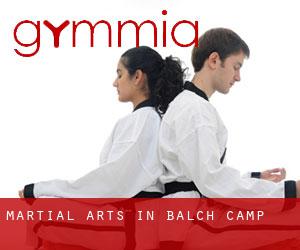 Martial Arts in Balch Camp