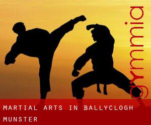 Martial Arts in Ballyclogh (Munster)