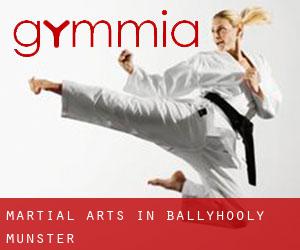 Martial Arts in Ballyhooly (Munster)