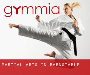 Martial Arts in Barnstable