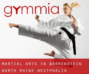 Martial Arts in Barrenstein (North Rhine-Westphalia)