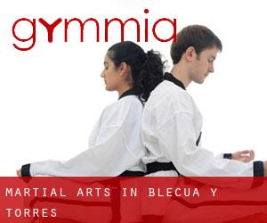 Martial Arts in Blecua y Torres