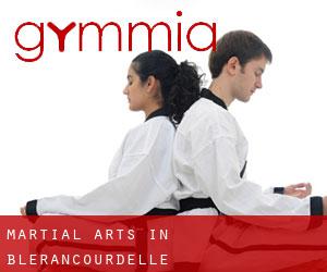 Martial Arts in Blérancourdelle