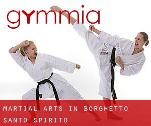 Martial Arts in Borghetto Santo Spirito