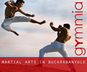 Martial Arts in Buckrabanyule