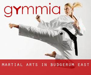 Martial Arts in Budgerum East