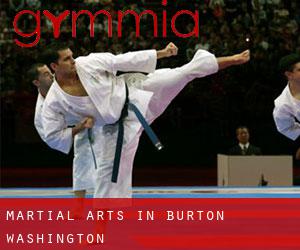 Martial Arts in Burton (Washington)