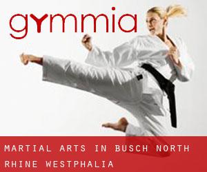 Martial Arts in Busch (North Rhine-Westphalia)