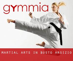 Martial Arts in Busto Arsizio