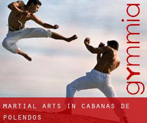 Martial Arts in Cabañas de Polendos