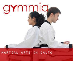 Martial Arts in Calto