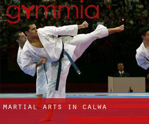 Martial Arts in Calwa