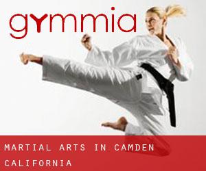 Martial Arts in Camden (California)