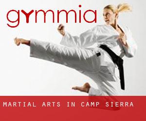 Martial Arts in Camp Sierra