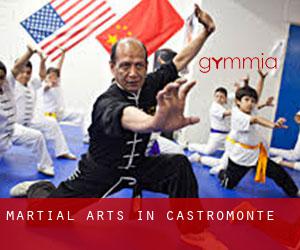 Martial Arts in Castromonte