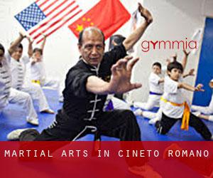 Martial Arts in Cineto Romano
