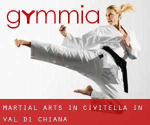 Martial Arts in Civitella in Val di Chiana