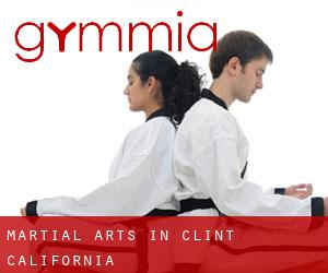 Martial Arts in Clint (California)