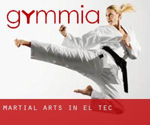 Martial Arts in el Tec