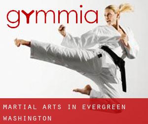 Martial Arts in Evergreen (Washington)