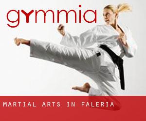 Martial Arts in Faleria