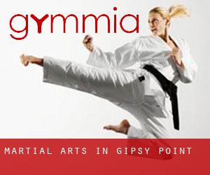 Martial Arts in Gipsy Point