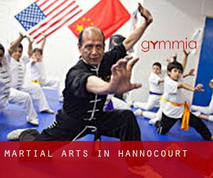 Martial Arts in Hannocourt