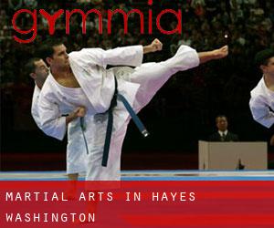 Martial Arts in Hayes (Washington)